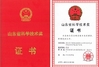 China SINOTRUK INTERNATIONAL CO., LTD. zertifizierungen