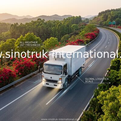 SINOTRUK HOWO 10 Tonne Kühlfahrzeug 160HP RHD