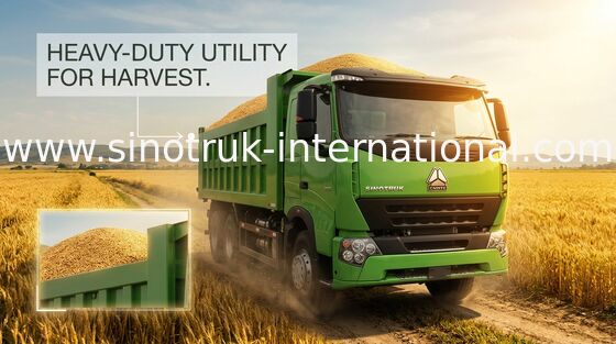 Schwerer Kipplaster RHD 6X4 SINOTRUK HOWO für Baumaterial-Laden