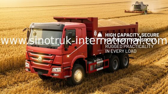 Kipplaster LHD 371 HP Sinotruk Howo 25 - 40 Tonnen Euro-2 schwere Kipplaster-