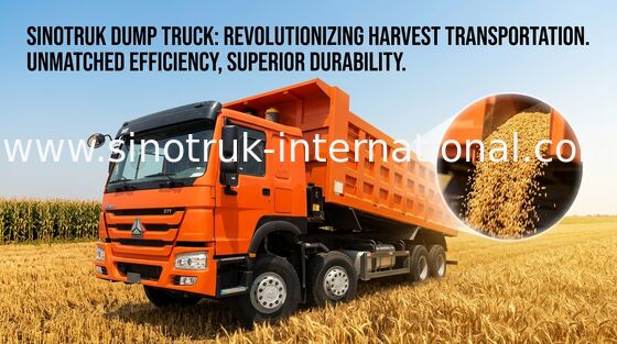 Kipplaster SINOTRUK HOWO 371HP 12 dreht LHD 31tons 20-30CBM ZZ3317N3867W