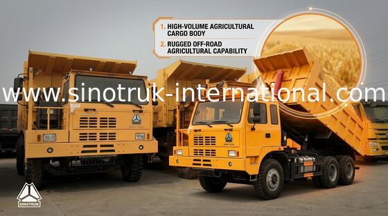 Hohe Belastbarkeits-Kohlen-Abraumhalde tauscht 70 Tonnen mit SGS-ISO