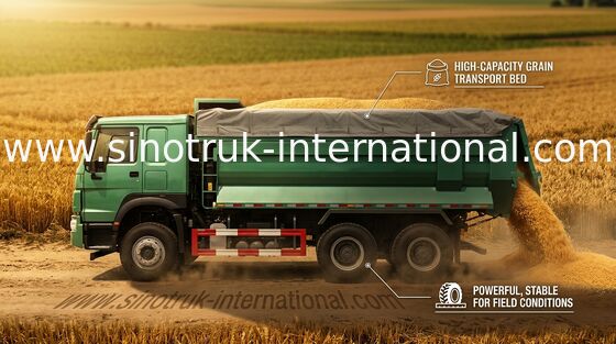 Der Arbeiten Tonnen des Kipper-Kipplaster-/HOWO des Kippwagen-6X4 LHD 25 10 - 25 CBM