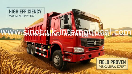 Kipplaster harter Beanspruchung SINOTRUK HOWO LHD 6X4 mit Blachenverdeck-/Metallabdeckung