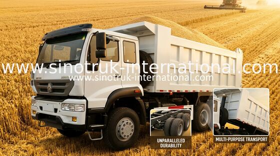 SINOTRUK goldener Prinz Kipplaster 10Wheels 336HP LHD 25-30tons ZZ3251N3641W