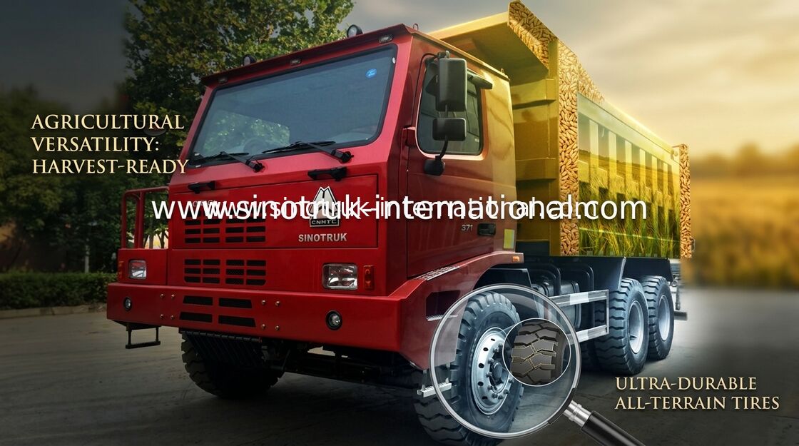 Farbiger Kippwagen SINOTRUK HOWO 6x4 Kipplaster-/HOWO für das Bergbau