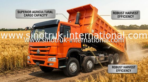 Kippwagen SINOTRUK HOWO 371HP 12 dreht LHD 31 Tonnen 20-30CBM ZZ3317N3567W